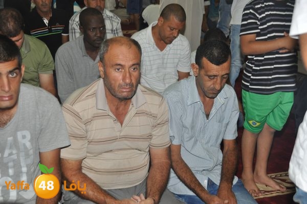 bazsalah lud 712 (38).JPG